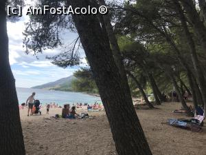 [P29] Zlatni Rat » foto by krisstinna
 - 
<span class="allrVoted glyphicon glyphicon-heart hidden" id="av998326"></span>
<a class="m-l-10 hidden" id="sv998326" onclick="voting_Foto_DelVot(,998326,6361)" role="button">șterge vot <span class="glyphicon glyphicon-remove"></span></a>
<a id="v9998326" class=" c-red"  onclick="voting_Foto_SetVot(998326)" role="button"><span class="glyphicon glyphicon-heart-empty"></span> <b>LIKE</b> = Votează poza</a> <img class="hidden"  id="f998326W9" src="/imagini/loader.gif" border="0" /><span class="AjErrMes hidden" id="e998326ErM"></span>