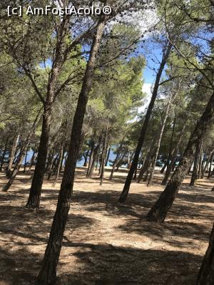 [P38] Zlatni Rat » foto by krisstinna
 - 
<span class="allrVoted glyphicon glyphicon-heart hidden" id="av998335"></span>
<a class="m-l-10 hidden" id="sv998335" onclick="voting_Foto_DelVot(,998335,6361)" role="button">șterge vot <span class="glyphicon glyphicon-remove"></span></a>
<a id="v9998335" class=" c-red"  onclick="voting_Foto_SetVot(998335)" role="button"><span class="glyphicon glyphicon-heart-empty"></span> <b>LIKE</b> = Votează poza</a> <img class="hidden"  id="f998335W9" src="/imagini/loader.gif" border="0" /><span class="AjErrMes hidden" id="e998335ErM"></span>