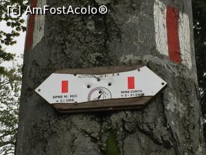 [P02] In Saua Jigoriei, loc bun de popas, acest indicator ne informeaza cat mai vaem pe poteca catre Muntele Mic sau catre Cuntu, marcaj banada rosie » foto by Dan&Ema
 - 
<span class="allrVoted glyphicon glyphicon-heart hidden" id="av788221"></span>
<a class="m-l-10 hidden" id="sv788221" onclick="voting_Foto_DelVot(,788221,6368)" role="button">șterge vot <span class="glyphicon glyphicon-remove"></span></a>
<a id="v9788221" class=" c-red"  onclick="voting_Foto_SetVot(788221)" role="button"><span class="glyphicon glyphicon-heart-empty"></span> <b>LIKE</b> = Votează poza</a> <img class="hidden"  id="f788221W9" src="/imagini/loader.gif" border="0" /><span class="AjErrMes hidden" id="e788221ErM"></span>
