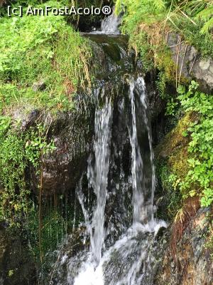 [P04] Langa cascada aceasta am facut alt popas si ne-am racorit » foto by Dan&Ema
 - 
<span class="allrVoted glyphicon glyphicon-heart hidden" id="av788223"></span>
<a class="m-l-10 hidden" id="sv788223" onclick="voting_Foto_DelVot(,788223,6368)" role="button">șterge vot <span class="glyphicon glyphicon-remove"></span></a>
<a id="v9788223" class=" c-red"  onclick="voting_Foto_SetVot(788223)" role="button"><span class="glyphicon glyphicon-heart-empty"></span> <b>LIKE</b> = Votează poza</a> <img class="hidden"  id="f788223W9" src="/imagini/loader.gif" border="0" /><span class="AjErrMes hidden" id="e788223ErM"></span>