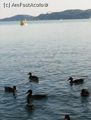 [P25] Lacul cu rate si ambarcațiuni.  » foto by nelu73
 - 
<span class="allrVoted glyphicon glyphicon-heart hidden" id="av994167"></span>
<a class="m-l-10 hidden" id="sv994167" onclick="voting_Foto_DelVot(,994167,6382)" role="button">șterge vot <span class="glyphicon glyphicon-remove"></span></a>
<a id="v9994167" class=" c-red"  onclick="voting_Foto_SetVot(994167)" role="button"><span class="glyphicon glyphicon-heart-empty"></span> <b>LIKE</b> = Votează poza</a> <img class="hidden"  id="f994167W9" src="/imagini/loader.gif" border="0" /><span class="AjErrMes hidden" id="e994167ErM"></span>