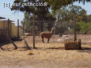 P13 [JUN-2021] Friguia Park Tunisia