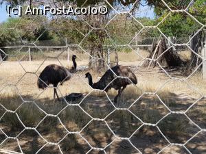 [P19] Friguia Park Tunisia » foto by nicole33
 - 
<span class="allrVoted glyphicon glyphicon-heart hidden" id="av1343506"></span>
<a class="m-l-10 hidden" id="sv1343506" onclick="voting_Foto_DelVot(,1343506,6402)" role="button">șterge vot <span class="glyphicon glyphicon-remove"></span></a>
<a id="v91343506" class=" c-red"  onclick="voting_Foto_SetVot(1343506)" role="button"><span class="glyphicon glyphicon-heart-empty"></span> <b>LIKE</b> = Votează poza</a> <img class="hidden"  id="f1343506W9" src="/imagini/loader.gif" border="0" /><span class="AjErrMes hidden" id="e1343506ErM"></span>