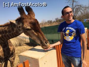 [P21] Rhino & Lion Nature Reserve, Krugersdorp » foto by gf.feder
 - 
<span class="allrVoted glyphicon glyphicon-heart hidden" id="av837775"></span>
<a class="m-l-10 hidden" id="sv837775" onclick="voting_Foto_DelVot(,837775,6488)" role="button">șterge vot <span class="glyphicon glyphicon-remove"></span></a>
<a id="v9837775" class=" c-red"  onclick="voting_Foto_SetVot(837775)" role="button"><span class="glyphicon glyphicon-heart-empty"></span> <b>LIKE</b> = Votează poza</a> <img class="hidden"  id="f837775W9" src="/imagini/loader.gif" border="0" /><span class="AjErrMes hidden" id="e837775ErM"></span>