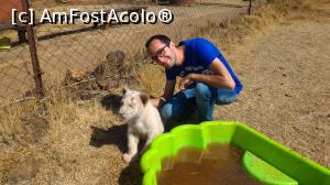 [P25] Rhino & Lion Nature Reserve, Krugersdorp - tigru alb » foto by gf.feder
 - 
<span class="allrVoted glyphicon glyphicon-heart hidden" id="av837779"></span>
<a class="m-l-10 hidden" id="sv837779" onclick="voting_Foto_DelVot(,837779,6488)" role="button">șterge vot <span class="glyphicon glyphicon-remove"></span></a>
<a id="v9837779" class=" c-red"  onclick="voting_Foto_SetVot(837779)" role="button"><span class="glyphicon glyphicon-heart-empty"></span> <b>LIKE</b> = Votează poza</a> <img class="hidden"  id="f837779W9" src="/imagini/loader.gif" border="0" /><span class="AjErrMes hidden" id="e837779ErM"></span>