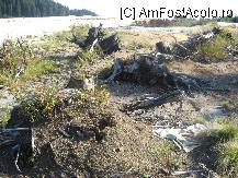 [P13] Peisajul e straniu cu copaci doborati de furtuna si uneori de om » foto by dorgo
 - 
<span class="allrVoted glyphicon glyphicon-heart hidden" id="av102147"></span>
<a class="m-l-10 hidden" id="sv102147" onclick="voting_Foto_DelVot(,102147,6532)" role="button">șterge vot <span class="glyphicon glyphicon-remove"></span></a>
<a id="v9102147" class=" c-red"  onclick="voting_Foto_SetVot(102147)" role="button"><span class="glyphicon glyphicon-heart-empty"></span> <b>LIKE</b> = Votează poza</a> <img class="hidden"  id="f102147W9" src="/imagini/loader.gif" border="0" /><span class="AjErrMes hidden" id="e102147ErM"></span>