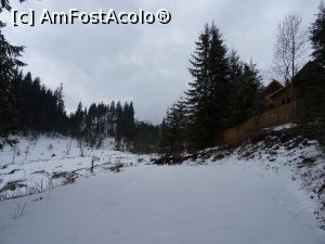 [P10] Undeva în preajma pârtiei de ski. » foto by tata123 🔱
 - 
<span class="allrVoted glyphicon glyphicon-heart hidden" id="av1223754"></span>
<a class="m-l-10 hidden" id="sv1223754" onclick="voting_Foto_DelVot(,1223754,6532)" role="button">șterge vot <span class="glyphicon glyphicon-remove"></span></a>
<a id="v91223754" class=" c-red"  onclick="voting_Foto_SetVot(1223754)" role="button"><span class="glyphicon glyphicon-heart-empty"></span> <b>LIKE</b> = Votează poza</a> <img class="hidden"  id="f1223754W9" src="/imagini/loader.gif" border="0" /><span class="AjErrMes hidden" id="e1223754ErM"></span>
