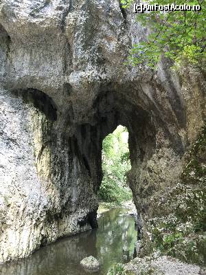 [P22]  -- <small>// FĂRĂ DESCRIERE</small> » foto by Dan&Ema
 - 
<span class="allrVoted glyphicon glyphicon-heart hidden" id="av663739"></span>
<a class="m-l-10 hidden" id="sv663739" onclick="voting_Foto_DelVot(,663739,6602)" role="button">șterge vot <span class="glyphicon glyphicon-remove"></span></a>
<a id="v9663739" class=" c-red"  onclick="voting_Foto_SetVot(663739)" role="button"><span class="glyphicon glyphicon-heart-empty"></span> <b>LIKE</b> = Votează poza</a> <img class="hidden"  id="f663739W9" src="/imagini/loader.gif" border="0" /><span class="AjErrMes hidden" id="e663739ErM"></span>