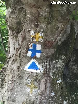 [P08] noi urmam marcajul cruce albastra » foto by Dan&Ema
 - 
<span class="allrVoted glyphicon glyphicon-heart hidden" id="av663722"></span>
<a class="m-l-10 hidden" id="sv663722" onclick="voting_Foto_DelVot(,663722,6602)" role="button">șterge vot <span class="glyphicon glyphicon-remove"></span></a>
<a id="v9663722" class=" c-red"  onclick="voting_Foto_SetVot(663722)" role="button"><span class="glyphicon glyphicon-heart-empty"></span> <b>LIKE</b> = Votează poza</a> <img class="hidden"  id="f663722W9" src="/imagini/loader.gif" border="0" /><span class="AjErrMes hidden" id="e663722ErM"></span>