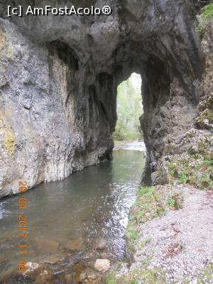 [P02] Portalul din celaltă parte » foto by zlatna
 - 
<span class="allrVoted glyphicon glyphicon-heart hidden" id="av857166"></span>
<a class="m-l-10 hidden" id="sv857166" onclick="voting_Foto_DelVot(,857166,6602)" role="button">șterge vot <span class="glyphicon glyphicon-remove"></span></a>
<a id="v9857166" class=" c-red"  onclick="voting_Foto_SetVot(857166)" role="button"><span class="glyphicon glyphicon-heart-empty"></span> <b>LIKE</b> = Votează poza</a> <img class="hidden"  id="f857166W9" src="/imagini/loader.gif" border="0" /><span class="AjErrMes hidden" id="e857166ErM"></span>