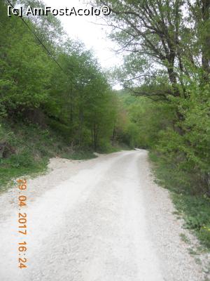 [P06] drumul de macadam spre Cheile Râmeţului » foto by zlatna
 - 
<span class="allrVoted glyphicon glyphicon-heart hidden" id="av857170"></span>
<a class="m-l-10 hidden" id="sv857170" onclick="voting_Foto_DelVot(,857170,6602)" role="button">șterge vot <span class="glyphicon glyphicon-remove"></span></a>
<a id="v9857170" class=" c-red"  onclick="voting_Foto_SetVot(857170)" role="button"><span class="glyphicon glyphicon-heart-empty"></span> <b>LIKE</b> = Votează poza</a> <img class="hidden"  id="f857170W9" src="/imagini/loader.gif" border="0" /><span class="AjErrMes hidden" id="e857170ErM"></span>