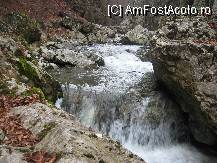 [P33] o mini-cascada » foto by dorgo
 - 
<span class="allrVoted glyphicon glyphicon-heart hidden" id="av97831"></span>
<a class="m-l-10 hidden" id="sv97831" onclick="voting_Foto_DelVot(,97831,6602)" role="button">șterge vot <span class="glyphicon glyphicon-remove"></span></a>
<a id="v997831" class=" c-red"  onclick="voting_Foto_SetVot(97831)" role="button"><span class="glyphicon glyphicon-heart-empty"></span> <b>LIKE</b> = Votează poza</a> <img class="hidden"  id="f97831W9" src="/imagini/loader.gif" border="0" /><span class="AjErrMes hidden" id="e97831ErM"></span>