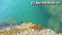 [P04] apa era limpede si plina de pestisori » foto by ionut_net
 - 
<span class="allrVoted glyphicon glyphicon-heart hidden" id="av102863"></span>
<a class="m-l-10 hidden" id="sv102863" onclick="voting_Foto_DelVot(,102863,6638)" role="button">șterge vot <span class="glyphicon glyphicon-remove"></span></a>
<a id="v9102863" class=" c-red"  onclick="voting_Foto_SetVot(102863)" role="button"><span class="glyphicon glyphicon-heart-empty"></span> <b>LIKE</b> = Votează poza</a> <img class="hidden"  id="f102863W9" src="/imagini/loader.gif" border="0" /><span class="AjErrMes hidden" id="e102863ErM"></span>