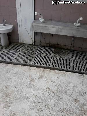 [P01]  -- <small>// FĂRĂ DESCRIERE</small> » foto by Adelina Lucica
 - 
<span class="allrVoted glyphicon glyphicon-heart hidden" id="av554572"></span>
<a class="m-l-10 hidden" id="sv554572" onclick="voting_Foto_DelVot(,554572,6673)" role="button">șterge vot <span class="glyphicon glyphicon-remove"></span></a>
<a id="v9554572" class=" c-red"  onclick="voting_Foto_SetVot(554572)" role="button"><span class="glyphicon glyphicon-heart-empty"></span> <b>LIKE</b> = Votează poza</a> <img class="hidden"  id="f554572W9" src="/imagini/loader.gif" border="0" /><span class="AjErrMes hidden" id="e554572ErM"></span>