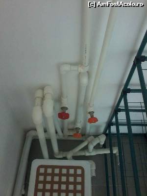 [P11] Minunatele tevi din bucatarie.  » foto by Adelina Lucica
 - 
<span class="allrVoted glyphicon glyphicon-heart hidden" id="av554582"></span>
<a class="m-l-10 hidden" id="sv554582" onclick="voting_Foto_DelVot(,554582,6673)" role="button">șterge vot <span class="glyphicon glyphicon-remove"></span></a>
<a id="v9554582" class=" c-red"  onclick="voting_Foto_SetVot(554582)" role="button"><span class="glyphicon glyphicon-heart-empty"></span> <b>LIKE</b> = Votează poza</a> <img class="hidden"  id="f554582W9" src="/imagini/loader.gif" border="0" /><span class="AjErrMes hidden" id="e554582ErM"></span>