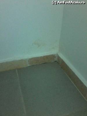 [P15] Mucegaiul din living.  » foto by Adelina Lucica
 - 
<span class="allrVoted glyphicon glyphicon-heart hidden" id="av554586"></span>
<a class="m-l-10 hidden" id="sv554586" onclick="voting_Foto_DelVot(,554586,6673)" role="button">șterge vot <span class="glyphicon glyphicon-remove"></span></a>
<a id="v9554586" class=" c-red"  onclick="voting_Foto_SetVot(554586)" role="button"><span class="glyphicon glyphicon-heart-empty"></span> <b>LIKE</b> = Votează poza</a> <img class="hidden"  id="f554586W9" src="/imagini/loader.gif" border="0" /><span class="AjErrMes hidden" id="e554586ErM"></span>