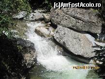 [P12]  -- <small>// FĂRĂ DESCRIERE</small> » foto by nicuprunaru
 - 
<span class="allrVoted glyphicon glyphicon-heart hidden" id="av107545"></span>
<a class="m-l-10 hidden" id="sv107545" onclick="voting_Foto_DelVot(,107545,6701)" role="button">șterge vot <span class="glyphicon glyphicon-remove"></span></a>
<a id="v9107545" class=" c-red"  onclick="voting_Foto_SetVot(107545)" role="button"><span class="glyphicon glyphicon-heart-empty"></span> <b>LIKE</b> = Votează poza</a> <img class="hidden"  id="f107545W9" src="/imagini/loader.gif" border="0" /><span class="AjErrMes hidden" id="e107545ErM"></span>