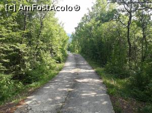 [P05] Zona Ovčar Banja – Monasteries. Drumul prin munte, între mănăstiri.  » foto by Aurici
 - 
<span class="allrVoted glyphicon glyphicon-heart hidden" id="av988286"></span>
<a class="m-l-10 hidden" id="sv988286" onclick="voting_Foto_DelVot(,988286,6716)" role="button">șterge vot <span class="glyphicon glyphicon-remove"></span></a>
<a id="v9988286" class=" c-red"  onclick="voting_Foto_SetVot(988286)" role="button"><span class="glyphicon glyphicon-heart-empty"></span> <b>LIKE</b> = Votează poza</a> <img class="hidden"  id="f988286W9" src="/imagini/loader.gif" border="0" /><span class="AjErrMes hidden" id="e988286ErM"></span>