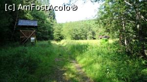 [P06] Rezervația naturală Dumbrava Harghitei situată pe traseul potecii tematice Piatra Colibei. În stânga se vede foișorul de observație, iar în dreapta panoul care indică rezervația. Este o mlaștină alimentată de izvoare minerale. Are plante relicte glaciare, ocrotite.  » foto by Lucien
 - 
<span class="allrVoted glyphicon glyphicon-heart hidden" id="av1006878"></span>
<a class="m-l-10 hidden" id="sv1006878" onclick="voting_Foto_DelVot(,1006878,6723)" role="button">șterge vot <span class="glyphicon glyphicon-remove"></span></a>
<a id="v91006878" class=" c-red"  onclick="voting_Foto_SetVot(1006878)" role="button"><span class="glyphicon glyphicon-heart-empty"></span> <b>LIKE</b> = Votează poza</a> <img class="hidden"  id="f1006878W9" src="/imagini/loader.gif" border="0" /><span class="AjErrMes hidden" id="e1006878ErM"></span>