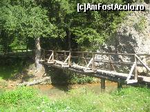 [P03] Un pod de lemn te trece de la drumul forestier pe 'Insula Harghitei' iar pe sub pod curge 'raul galben' despre care ati mai auzit cate ceva » foto by dorgo
 - 
<span class="allrVoted glyphicon glyphicon-heart hidden" id="av108366"></span>
<a class="m-l-10 hidden" id="sv108366" onclick="voting_Foto_DelVot(,108366,6723)" role="button">șterge vot <span class="glyphicon glyphicon-remove"></span></a>
<a id="v9108366" class=" c-red"  onclick="voting_Foto_SetVot(108366)" role="button"><span class="glyphicon glyphicon-heart-empty"></span> <b>LIKE</b> = Votează poza</a> <img class="hidden"  id="f108366W9" src="/imagini/loader.gif" border="0" /><span class="AjErrMes hidden" id="e108366ErM"></span>
