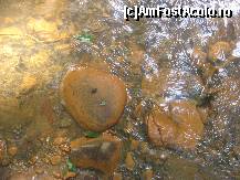 [P05] Dar continuam coborarea spre Chirui,suntem curiosi sa vedem ce se intampla cu raul galben » foto by dorgo
 - 
<span class="allrVoted glyphicon glyphicon-heart hidden" id="av108368"></span>
<a class="m-l-10 hidden" id="sv108368" onclick="voting_Foto_DelVot(,108368,6723)" role="button">șterge vot <span class="glyphicon glyphicon-remove"></span></a>
<a id="v9108368" class=" c-red"  onclick="voting_Foto_SetVot(108368)" role="button"><span class="glyphicon glyphicon-heart-empty"></span> <b>LIKE</b> = Votează poza</a> <img class="hidden"  id="f108368W9" src="/imagini/loader.gif" border="0" /><span class="AjErrMes hidden" id="e108368ErM"></span>