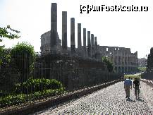 [P08]  -- <small>// FĂRĂ DESCRIERE</small> » foto by yssy*
 - 
<span class="allrVoted glyphicon glyphicon-heart hidden" id="av121266"></span>
<a class="m-l-10 hidden" id="sv121266" onclick="voting_Foto_DelVot(,121266,6728)" role="button">șterge vot <span class="glyphicon glyphicon-remove"></span></a>
<a id="v9121266" class=" c-red"  onclick="voting_Foto_SetVot(121266)" role="button"><span class="glyphicon glyphicon-heart-empty"></span> <b>LIKE</b> = Votează poza</a> <img class="hidden"  id="f121266W9" src="/imagini/loader.gif" border="0" /><span class="AjErrMes hidden" id="e121266ErM"></span>