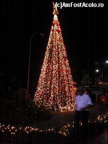 [P17] De Craciun » foto by eduardradupaul*
 - 
<span class="allrVoted glyphicon glyphicon-heart hidden" id="av108498"></span>
<a class="m-l-10 hidden" id="sv108498" onclick="voting_Foto_DelVot(,108498,6729)" role="button">șterge vot <span class="glyphicon glyphicon-remove"></span></a>
<a id="v9108498" class=" c-red"  onclick="voting_Foto_SetVot(108498)" role="button"><span class="glyphicon glyphicon-heart-empty"></span> <b>LIKE</b> = Votează poza</a> <img class="hidden"  id="f108498W9" src="/imagini/loader.gif" border="0" /><span class="AjErrMes hidden" id="e108498ErM"></span>