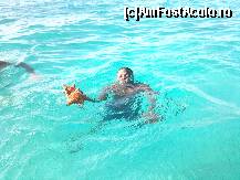 [P06] O stea de mare » foto by eduardradupaul*
 - 
<span class="allrVoted glyphicon glyphicon-heart hidden" id="av108483"></span>
<a class="m-l-10 hidden" id="sv108483" onclick="voting_Foto_DelVot(,108483,6729)" role="button">șterge vot <span class="glyphicon glyphicon-remove"></span></a>
<a id="v9108483" class=" c-red"  onclick="voting_Foto_SetVot(108483)" role="button"><span class="glyphicon glyphicon-heart-empty"></span> <b>LIKE</b> = Votează poza</a> <img class="hidden"  id="f108483W9" src="/imagini/loader.gif" border="0" /><span class="AjErrMes hidden" id="e108483ErM"></span>