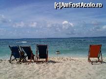 [P09] Pe insula Saona...ireal...ca o poza de desktop... » foto by eduardradupaul*
 - 
<span class="allrVoted glyphicon glyphicon-heart hidden" id="av108486"></span>
<a class="m-l-10 hidden" id="sv108486" onclick="voting_Foto_DelVot(,108486,6729)" role="button">șterge vot <span class="glyphicon glyphicon-remove"></span></a>
<a id="v9108486" class=" c-red"  onclick="voting_Foto_SetVot(108486)" role="button"><span class="glyphicon glyphicon-heart-empty"></span> <b>LIKE</b> = Votează poza</a> <img class="hidden"  id="f108486W9" src="/imagini/loader.gif" border="0" /><span class="AjErrMes hidden" id="e108486ErM"></span>