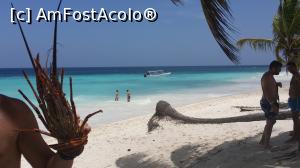 [P04] Alte două săptămâni în Paradis - un homar şi minunata Mare a Caraibilor » foto by nicole33
 - 
<span class="allrVoted glyphicon glyphicon-heart hidden" id="av1044875"></span>
<a class="m-l-10 hidden" id="sv1044875" onclick="voting_Foto_DelVot(,1044875,6729)" role="button">șterge vot <span class="glyphicon glyphicon-remove"></span></a>
<a id="v91044875" class=" c-red"  onclick="voting_Foto_SetVot(1044875)" role="button"><span class="glyphicon glyphicon-heart-empty"></span> <b>LIKE</b> = Votează poza</a> <img class="hidden"  id="f1044875W9" src="/imagini/loader.gif" border="0" /><span class="AjErrMes hidden" id="e1044875ErM"></span>