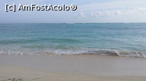 [P40] Alte două săptămâni în Paradis - oceanul » foto by nicole33
 - 
<span class="allrVoted glyphicon glyphicon-heart hidden" id="av1044933"></span>
<a class="m-l-10 hidden" id="sv1044933" onclick="voting_Foto_DelVot(,1044933,6729)" role="button">șterge vot <span class="glyphicon glyphicon-remove"></span></a>
<a id="v91044933" class=" c-red"  onclick="voting_Foto_SetVot(1044933)" role="button"><span class="glyphicon glyphicon-heart-empty"></span> <b>LIKE</b> = Votează poza</a> <img class="hidden"  id="f1044933W9" src="/imagini/loader.gif" border="0" /><span class="AjErrMes hidden" id="e1044933ErM"></span>