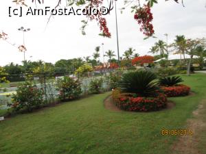 [P87] Alte două săptămâni în Paradis - prin zona terenurilor de sport » foto by nicole33
 - 
<span class="allrVoted glyphicon glyphicon-heart hidden" id="av1044990"></span>
<a class="m-l-10 hidden" id="sv1044990" onclick="voting_Foto_DelVot(,1044990,6729)" role="button">șterge vot <span class="glyphicon glyphicon-remove"></span></a>
<a id="v91044990" class=" c-red"  onclick="voting_Foto_SetVot(1044990)" role="button"><span class="glyphicon glyphicon-heart-empty"></span> <b>LIKE</b> = Votează poza</a> <img class="hidden"  id="f1044990W9" src="/imagini/loader.gif" border="0" /><span class="AjErrMes hidden" id="e1044990ErM"></span>