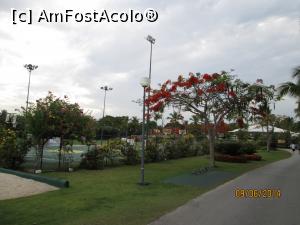 [P89] Alte două săptămâni în Paradis - în zona terenurilor de sport » foto by nicole33
 - 
<span class="allrVoted glyphicon glyphicon-heart hidden" id="av1044992"></span>
<a class="m-l-10 hidden" id="sv1044992" onclick="voting_Foto_DelVot(,1044992,6729)" role="button">șterge vot <span class="glyphicon glyphicon-remove"></span></a>
<a id="v91044992" class=" c-red"  onclick="voting_Foto_SetVot(1044992)" role="button"><span class="glyphicon glyphicon-heart-empty"></span> <b>LIKE</b> = Votează poza</a> <img class="hidden"  id="f1044992W9" src="/imagini/loader.gif" border="0" /><span class="AjErrMes hidden" id="e1044992ErM"></span>