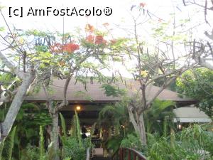 [P91] Alte două săptămâni în Paradis - prin resort » foto by nicole33
 - 
<span class="allrVoted glyphicon glyphicon-heart hidden" id="av1044994"></span>
<a class="m-l-10 hidden" id="sv1044994" onclick="voting_Foto_DelVot(,1044994,6729)" role="button">șterge vot <span class="glyphicon glyphicon-remove"></span></a>
<a id="v91044994" class=" c-red"  onclick="voting_Foto_SetVot(1044994)" role="button"><span class="glyphicon glyphicon-heart-empty"></span> <b>LIKE</b> = Votează poza</a> <img class="hidden"  id="f1044994W9" src="/imagini/loader.gif" border="0" /><span class="AjErrMes hidden" id="e1044994ErM"></span>