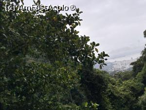 [P32] Prin pădurea Tijuca » foto by AZE
 - 
<span class="allrVoted glyphicon glyphicon-heart hidden" id="av1525161"></span>
<a class="m-l-10 hidden" id="sv1525161" onclick="voting_Foto_DelVot(,1525161,6730)" role="button">șterge vot <span class="glyphicon glyphicon-remove"></span></a>
<a id="v91525161" class=" c-red"  onclick="voting_Foto_SetVot(1525161)" role="button"><span class="glyphicon glyphicon-heart-empty"></span> <b>LIKE</b> = Votează poza</a> <img class="hidden"  id="f1525161W9" src="/imagini/loader.gif" border="0" /><span class="AjErrMes hidden" id="e1525161ErM"></span>