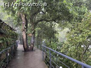 [P57] Mnigrădina botanică de pe munte » foto by AZE
 - 
<span class="allrVoted glyphicon glyphicon-heart hidden" id="av1525835"></span>
<a class="m-l-10 hidden" id="sv1525835" onclick="voting_Foto_DelVot(,1525835,6730)" role="button">șterge vot <span class="glyphicon glyphicon-remove"></span></a>
<a id="v91525835" class=" c-red"  onclick="voting_Foto_SetVot(1525835)" role="button"><span class="glyphicon glyphicon-heart-empty"></span> <b>LIKE</b> = Votează poza</a> <img class="hidden"  id="f1525835W9" src="/imagini/loader.gif" border="0" /><span class="AjErrMes hidden" id="e1525835ErM"></span>