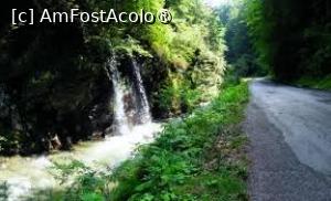 [P05] Cascadă în Cheile Jieţului » foto by Michi
 - 
<span class="allrVoted glyphicon glyphicon-heart hidden" id="av1502456"></span>
<a class="m-l-10 hidden" id="sv1502456" onclick="voting_Foto_DelVot(,1502456,6743)" role="button">șterge vot <span class="glyphicon glyphicon-remove"></span></a>
<a id="v91502456" class=" c-red"  onclick="voting_Foto_SetVot(1502456)" role="button"><span class="glyphicon glyphicon-heart-empty"></span> <b>LIKE</b> = Votează poza</a> <img class="hidden"  id="f1502456W9" src="/imagini/loader.gif" border="0" /><span class="AjErrMes hidden" id="e1502456ErM"></span>