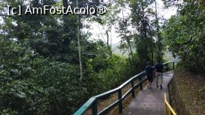 [P13] Cascada Iguacu Brazilia » foto by elenaadina
 - 
<span class="allrVoted glyphicon glyphicon-heart hidden" id="av1517660"></span>
<a class="m-l-10 hidden" id="sv1517660" onclick="voting_Foto_DelVot(,1517660,6751)" role="button">șterge vot <span class="glyphicon glyphicon-remove"></span></a>
<a id="v91517660" class=" c-red"  onclick="voting_Foto_SetVot(1517660)" role="button"><span class="glyphicon glyphicon-heart-empty"></span> <b>LIKE</b> = Votează poza</a> <img class="hidden"  id="f1517660W9" src="/imagini/loader.gif" border="0" /><span class="AjErrMes hidden" id="e1517660ErM"></span>