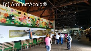 [P06] Cascada Iguacu Brazilia » foto by elenaadina
 - 
<span class="allrVoted glyphicon glyphicon-heart hidden" id="av1517653"></span>
<a class="m-l-10 hidden" id="sv1517653" onclick="voting_Foto_DelVot(,1517653,6751)" role="button">șterge vot <span class="glyphicon glyphicon-remove"></span></a>
<a id="v91517653" class=" c-red"  onclick="voting_Foto_SetVot(1517653)" role="button"><span class="glyphicon glyphicon-heart-empty"></span> <b>LIKE</b> = Votează poza</a> <img class="hidden"  id="f1517653W9" src="/imagini/loader.gif" border="0" /><span class="AjErrMes hidden" id="e1517653ErM"></span>