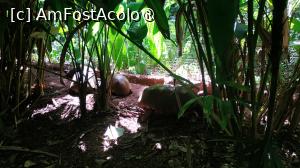 [P15]  -- <small>// FĂRĂ DESCRIERE</small> » foto by elenaadina
 - 
<span class="allrVoted glyphicon glyphicon-heart hidden" id="av1517878"></span>
<a class="m-l-10 hidden" id="sv1517878" onclick="voting_Foto_DelVot(,1517878,6751)" role="button">șterge vot <span class="glyphicon glyphicon-remove"></span></a>
<a id="v91517878" class=" c-red"  onclick="voting_Foto_SetVot(1517878)" role="button"><span class="glyphicon glyphicon-heart-empty"></span> <b>LIKE</b> = Votează poza</a> <img class="hidden"  id="f1517878W9" src="/imagini/loader.gif" border="0" /><span class="AjErrMes hidden" id="e1517878ErM"></span>