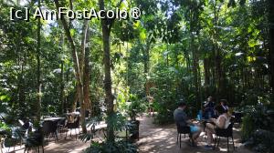 [P25]  -- <small>// FĂRĂ DESCRIERE</small> » foto by elenaadina
 - 
<span class="allrVoted glyphicon glyphicon-heart hidden" id="av1517888"></span>
<a class="m-l-10 hidden" id="sv1517888" onclick="voting_Foto_DelVot(,1517888,6751)" role="button">șterge vot <span class="glyphicon glyphicon-remove"></span></a>
<a id="v91517888" class=" c-red"  onclick="voting_Foto_SetVot(1517888)" role="button"><span class="glyphicon glyphicon-heart-empty"></span> <b>LIKE</b> = Votează poza</a> <img class="hidden"  id="f1517888W9" src="/imagini/loader.gif" border="0" /><span class="AjErrMes hidden" id="e1517888ErM"></span>