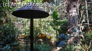 [P36]  -- <small>// FĂRĂ DESCRIERE</small> » foto by elenaadina
 - 
<span class="allrVoted glyphicon glyphicon-heart hidden" id="av1517899"></span>
<a class="m-l-10 hidden" id="sv1517899" onclick="voting_Foto_DelVot(,1517899,6751)" role="button">șterge vot <span class="glyphicon glyphicon-remove"></span></a>
<a id="v91517899" class=" c-red"  onclick="voting_Foto_SetVot(1517899)" role="button"><span class="glyphicon glyphicon-heart-empty"></span> <b>LIKE</b> = Votează poza</a> <img class="hidden"  id="f1517899W9" src="/imagini/loader.gif" border="0" /><span class="AjErrMes hidden" id="e1517899ErM"></span>