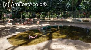 [P08] Parque das Aves » foto by elenaadina
 - 
<span class="allrVoted glyphicon glyphicon-heart hidden" id="av1517871"></span>
<a class="m-l-10 hidden" id="sv1517871" onclick="voting_Foto_DelVot(,1517871,6751)" role="button">șterge vot <span class="glyphicon glyphicon-remove"></span></a>
<a id="v91517871" class=" c-red"  onclick="voting_Foto_SetVot(1517871)" role="button"><span class="glyphicon glyphicon-heart-empty"></span> <b>LIKE</b> = Votează poza</a> <img class="hidden"  id="f1517871W9" src="/imagini/loader.gif" border="0" /><span class="AjErrMes hidden" id="e1517871ErM"></span>