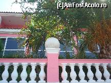 [P05] Langa Pink Palace un pomisor plin cu rodii » foto by pink_gabi*
 - 
<span class="allrVoted glyphicon glyphicon-heart hidden" id="av120103"></span>
<a class="m-l-10 hidden" id="sv120103" onclick="voting_Foto_DelVot(,120103,6820)" role="button">șterge vot <span class="glyphicon glyphicon-remove"></span></a>
<a id="v9120103" class=" c-red"  onclick="voting_Foto_SetVot(120103)" role="button"><span class="glyphicon glyphicon-heart-empty"></span> <b>LIKE</b> = Votează poza</a> <img class="hidden"  id="f120103W9" src="/imagini/loader.gif" border="0" /><span class="AjErrMes hidden" id="e120103ErM"></span>