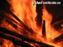 [P16] ... inima lui. » foto by sforicel
 - 
<span class="allrVoted glyphicon glyphicon-heart hidden" id="av176096"></span>
<a class="m-l-10 hidden" id="sv176096" onclick="voting_Foto_DelVot(,176096,6845)" role="button">șterge vot <span class="glyphicon glyphicon-remove"></span></a>
<a id="v9176096" class=" c-red"  onclick="voting_Foto_SetVot(176096)" role="button"><span class="glyphicon glyphicon-heart-empty"></span> <b>LIKE</b> = Votează poza</a> <img class="hidden"  id="f176096W9" src="/imagini/loader.gif" border="0" /><span class="AjErrMes hidden" id="e176096ErM"></span>