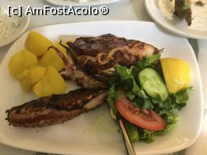 [P13] Si niste calamari sunt bineveniti » foto by mishu
 - 
<span class="allrVoted glyphicon glyphicon-heart hidden" id="av1159721"></span>
<a class="m-l-10 hidden" id="sv1159721" onclick="voting_Foto_DelVot(,1159721,6854)" role="button">șterge vot <span class="glyphicon glyphicon-remove"></span></a>
<a id="v91159721" class=" c-red"  onclick="voting_Foto_SetVot(1159721)" role="button"><span class="glyphicon glyphicon-heart-empty"></span> <b>LIKE</b> = Votează poza</a> <img class="hidden"  id="f1159721W9" src="/imagini/loader.gif" border="0" /><span class="AjErrMes hidden" id="e1159721ErM"></span>