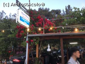 [P19] Si am ajuns si la Leonidas » foto by mishu
 - 
<span class="allrVoted glyphicon glyphicon-heart hidden" id="av1160164"></span>
<a class="m-l-10 hidden" id="sv1160164" onclick="voting_Foto_DelVot(,1160164,6854)" role="button">șterge vot <span class="glyphicon glyphicon-remove"></span></a>
<a id="v91160164" class=" c-red"  onclick="voting_Foto_SetVot(1160164)" role="button"><span class="glyphicon glyphicon-heart-empty"></span> <b>LIKE</b> = Votează poza</a> <img class="hidden"  id="f1160164W9" src="/imagini/loader.gif" border="0" /><span class="AjErrMes hidden" id="e1160164ErM"></span>