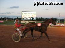 [P34] In seara aceasta e o cursa de trap, iata invingatorul! » foto by dorgo
 - 
<span class="allrVoted glyphicon glyphicon-heart hidden" id="av113044"></span>
<a class="m-l-10 hidden" id="sv113044" onclick="voting_Foto_DelVot(,113044,6862)" role="button">șterge vot <span class="glyphicon glyphicon-remove"></span></a>
<a id="v9113044" class=" c-red"  onclick="voting_Foto_SetVot(113044)" role="button"><span class="glyphicon glyphicon-heart-empty"></span> <b>LIKE</b> = Votează poza</a> <img class="hidden"  id="f113044W9" src="/imagini/loader.gif" border="0" /><span class="AjErrMes hidden" id="e113044ErM"></span>