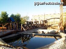 [P09] Locul unde se balacesc broscutele testoase » foto by pepsi70ro
 - 
<span class="allrVoted glyphicon glyphicon-heart hidden" id="av113347"></span>
<a class="m-l-10 hidden" id="sv113347" onclick="voting_Foto_DelVot(,113347,6877)" role="button">șterge vot <span class="glyphicon glyphicon-remove"></span></a>
<a id="v9113347" class=" c-red"  onclick="voting_Foto_SetVot(113347)" role="button"><span class="glyphicon glyphicon-heart-empty"></span> <b>LIKE</b> = Votează poza</a> <img class="hidden"  id="f113347W9" src="/imagini/loader.gif" border="0" /><span class="AjErrMes hidden" id="e113347ErM"></span>