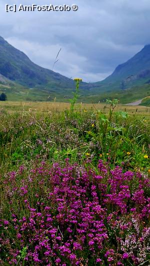 [P66] Glencoe Valley » foto by k-lator
 - 
<span class="allrVoted glyphicon glyphicon-heart hidden" id="av1501613"></span>
<a class="m-l-10 hidden" id="sv1501613" onclick="voting_Foto_DelVot(,1501613,6898)" role="button">șterge vot <span class="glyphicon glyphicon-remove"></span></a>
<a id="v91501613" class=" c-red"  onclick="voting_Foto_SetVot(1501613)" role="button"><span class="glyphicon glyphicon-heart-empty"></span> <b>LIKE</b> = Votează poza</a> <img class="hidden"  id="f1501613W9" src="/imagini/loader.gif" border="0" /><span class="AjErrMes hidden" id="e1501613ErM"></span>